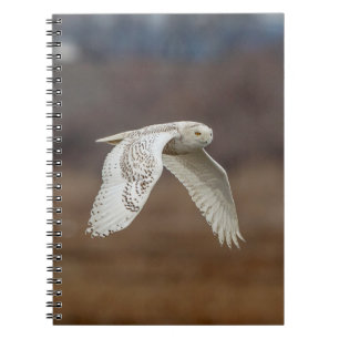 Snowy uggla under flygning anteckningsbok med spiral