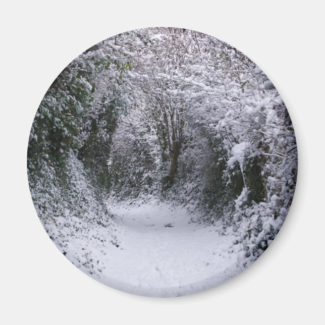 Snowy Väg Magnet (Framsidan)