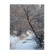 Snowy Väg Winter Photo Postcard