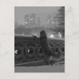 "Snowy View from Bow Bridge" Central Park, NYC Vykort
