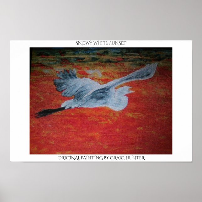 Snowy white sunset poster (Framsidan)