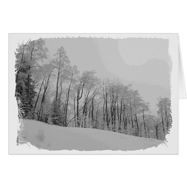 Snowy White Tips Hälsningskort (Framsidan Horizontal)