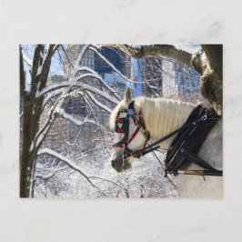 Snowy Winter Carriage Horse in Central Park Vykort
