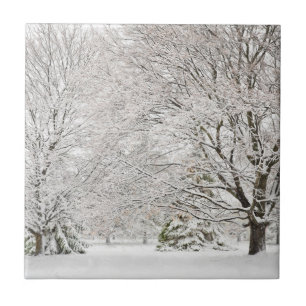Snowy Winter Forest Kakelplatta