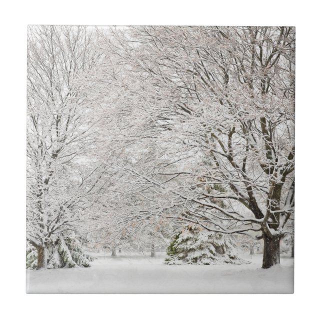Snowy Winter Forest Kakelplatta (Framsidan)