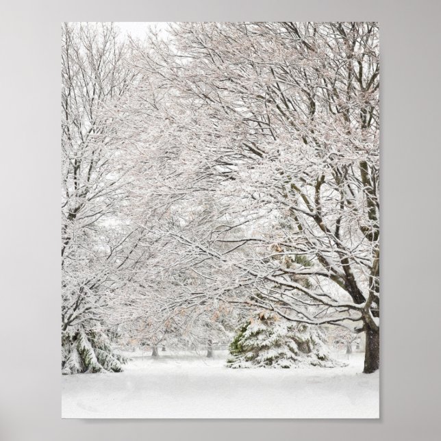 Snowy Winter Forest Poster (Framsidan)