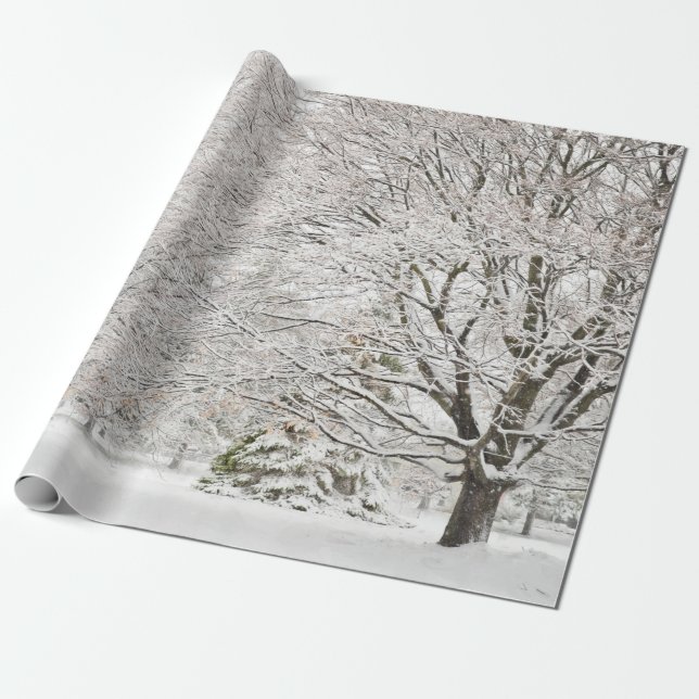 Snowy Winter Forest Presentpapper (Utrullad)