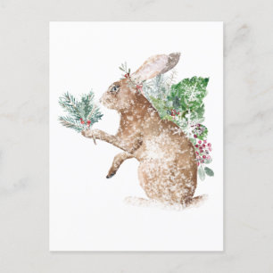 Snowy Winter Hare ger möjlighet till Spruce & Holl Vykort