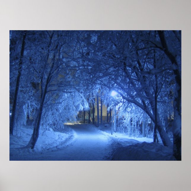 Snowy Winter Night Poster (Framsidan)