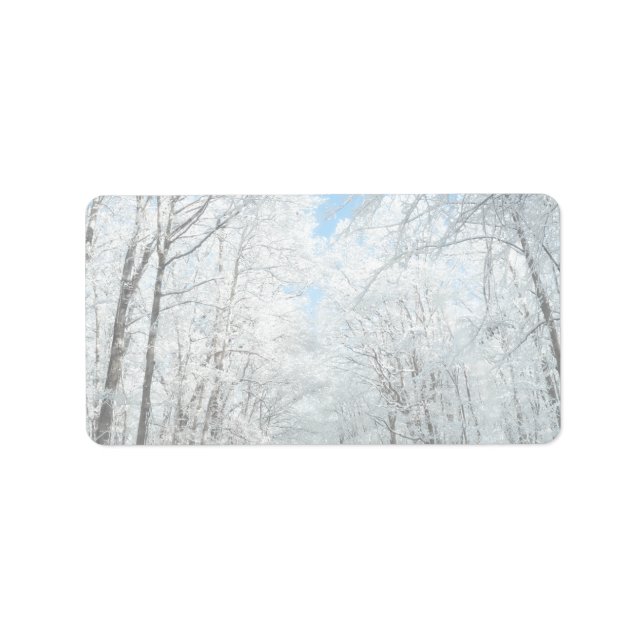Snowy Winter Road Scene Adressetikett (Framsidan)