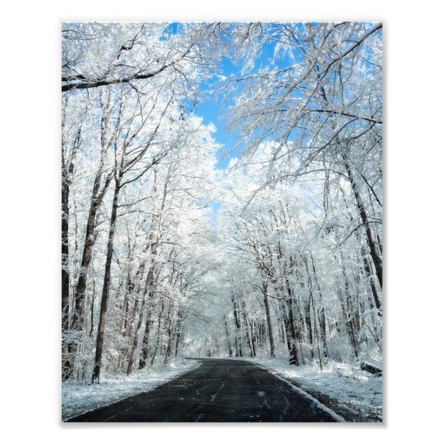 Snowy Winter Road Scene Fototryck (Framsidan)