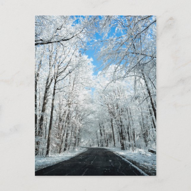 Snowy Winter Road Scene Vykort (Framsida)