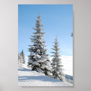 Snowy Winter Scene med Julgranar Poster