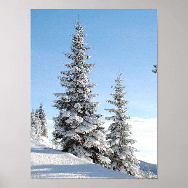 Snowy Winter Scene med Julgranar Poster (Framsidan)