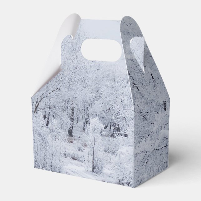 Snowy Winter Scene Presentaskar (Framsidan Sidan)