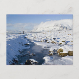 Snowy Winterland Vykort