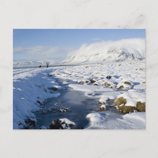 Snowy Winterland Vykort (Framsida)