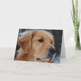 Snowy Wyatt-kort Kort