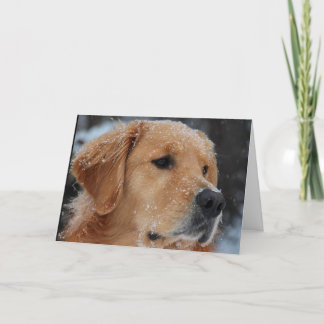 Snowy Wyatt-kort Kort