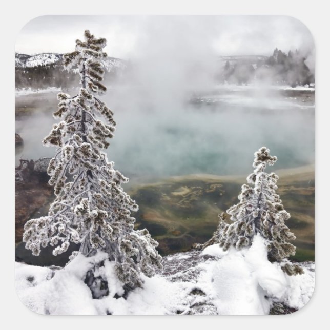 Snowy Yellowstone Fyrkantigt Klistermärke (Framsida)