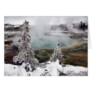 Snowy Yellowstone Hälsningskort