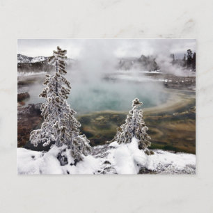 Snowy Yellowstone Vykort