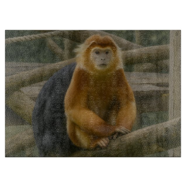 Snub-Nposed Monkey in Woodland Refuge (Framsidan)