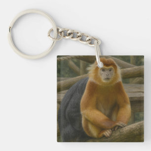 Snub-Nposed Monkey in Woodland Refuge