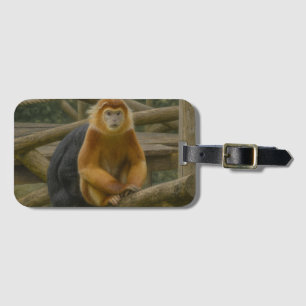 Snub-Nposed Monkey in Woodland Refuge Bagagebricka