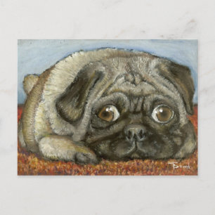 Snug pug vykort