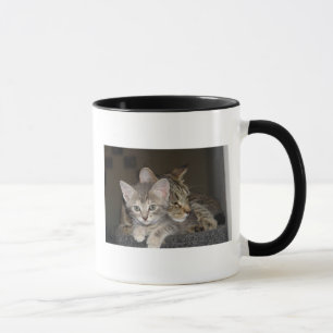 Snuggle Mugg