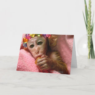 Snuggleapa Kort