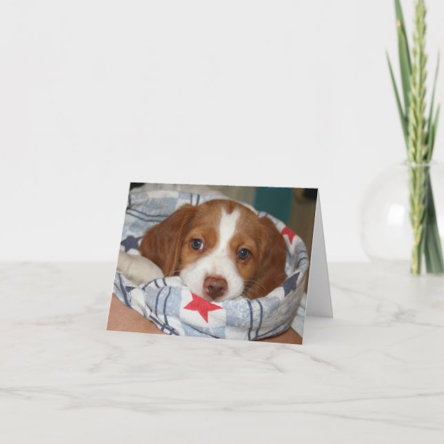 SnuggleBrittany valp Notecard Kort (Framsida)