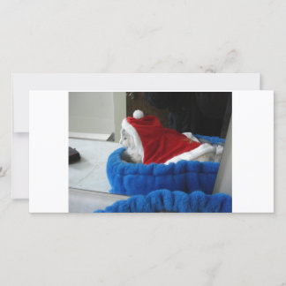 Snuggler är Santa tassar Julkort