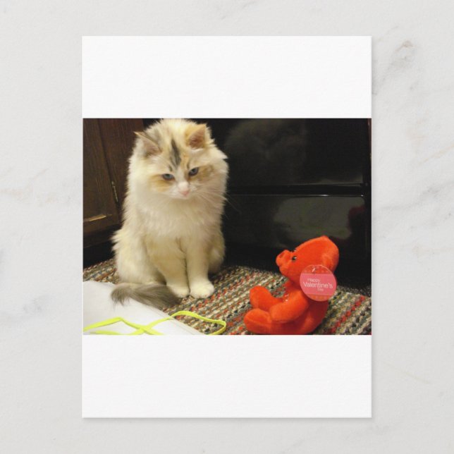 Snuggler jamar "alla hjärtans dag! ", helg vykort (Framsida)