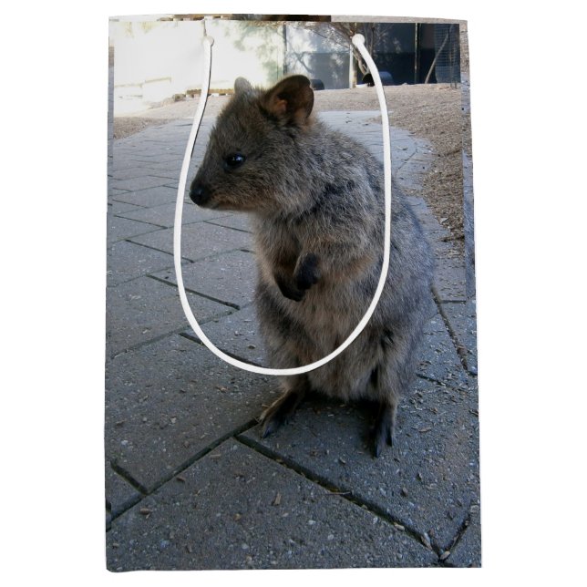 "Snuggles in Australia: A Cudely Grått Quokka" (Framsidan)