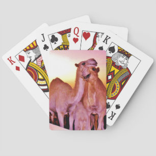 Snuggling Camels Casinokort