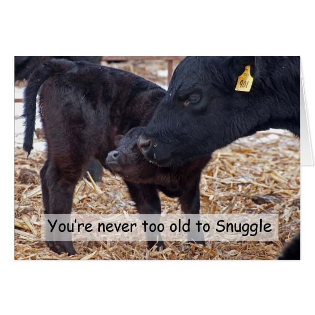 Snuggling kor hälsningskort (Framsidan Horizontal)