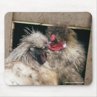 Snuggling Silkie blir rädd hönor - höna Mousepad Musmatta