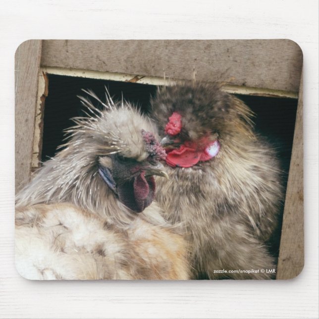 Snuggling Silkie blir rädd hönor - höna Mousepad Musmatta (Framsidan)