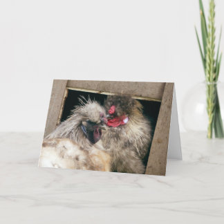 Snuggling Silkie Chickens Hens - fjäderfä Kort