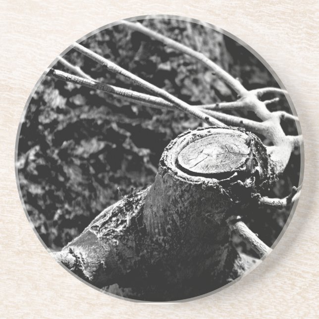 snurra mig runt träd underlägg (Framsidan)