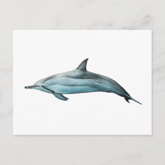 Snurrdelfin Vykort