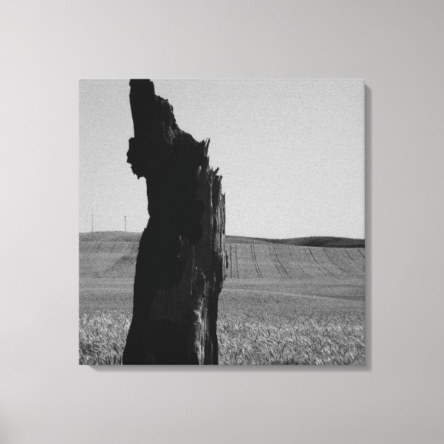 snurrealt canvastryck (Framsida)