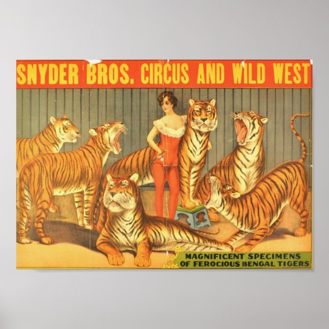 Snyder Bros. Cirkus och Vilda western Poster (Framsidan)