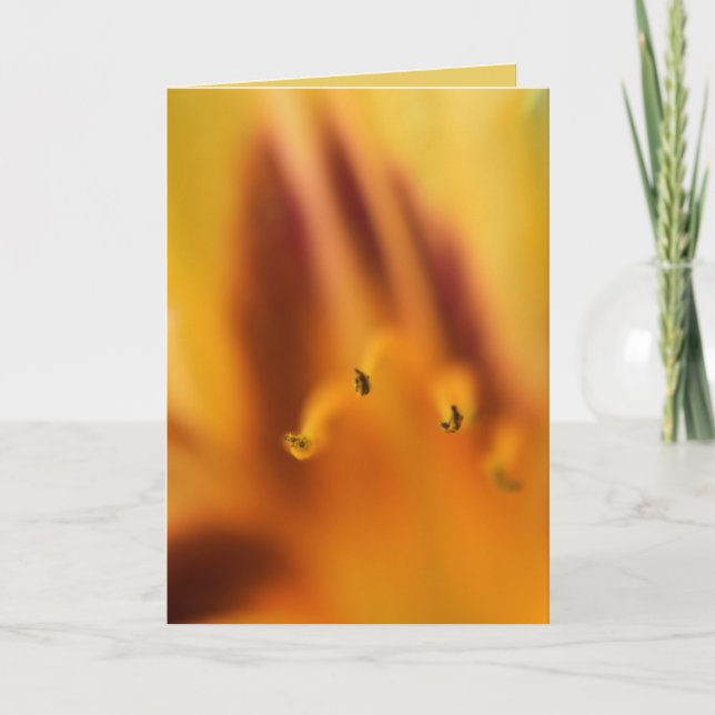 Snygg Abstrakt Orange Tiger Lily Flower Blank Kort (Framsida)