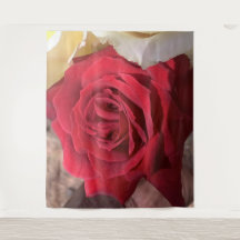 Snygg Afrika Röd ros