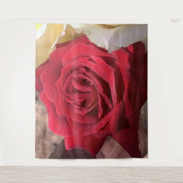 Snygg Afrika Röd ros