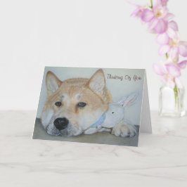 Snygg akita-hund som tänker på dig kort