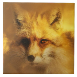 Snygg amerikansk fox Art Tile Kakelplatta